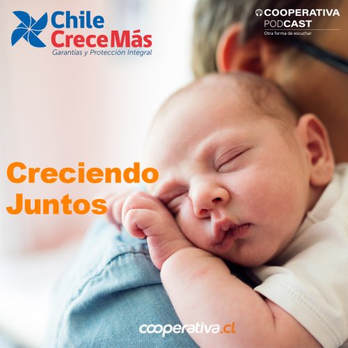 Foto Portada